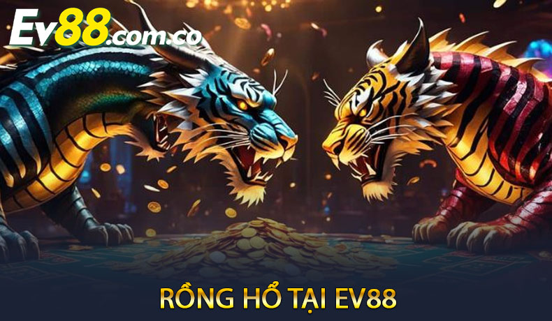 Rồng Hổ